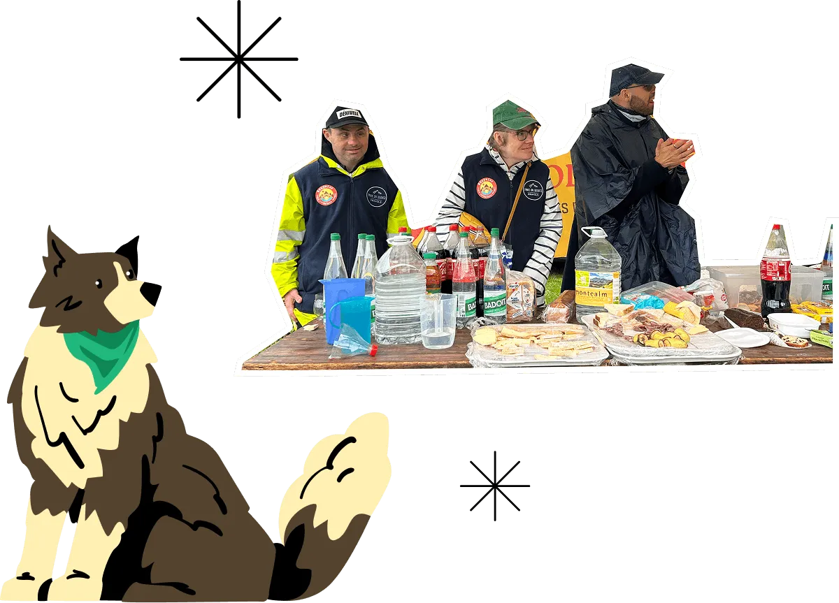 Illustration d'un patou
